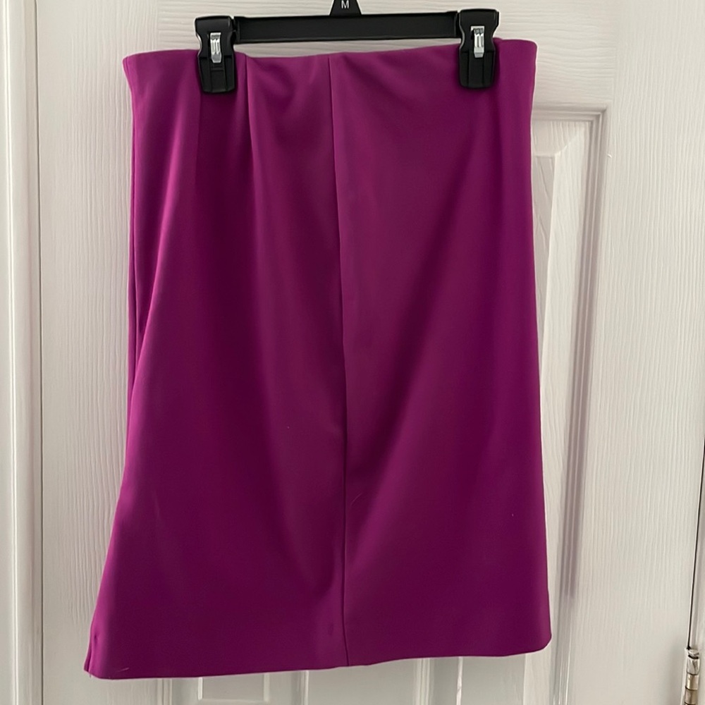 Women’s The Limited Purple Skirt size 2